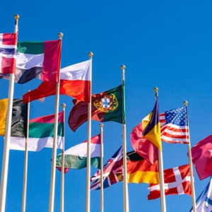 Diplomatura internacional en gestion de visas y ciudadanias