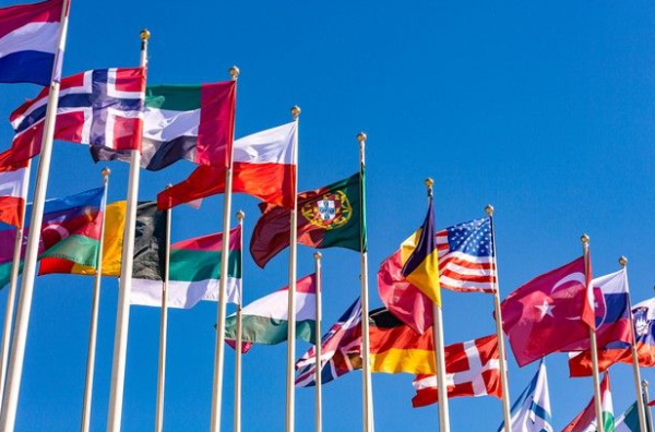 Diplomatura internacional en gestion de visas y ciudadanias